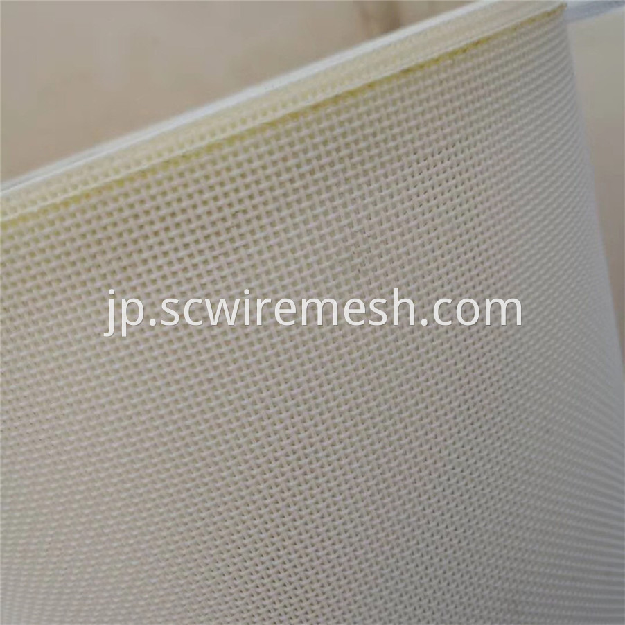 Polyester Paper Mesh